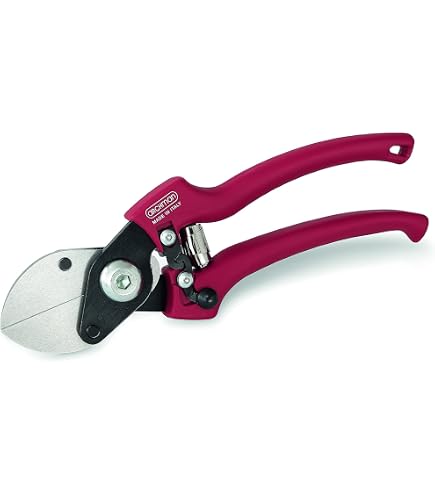 1PZ FORBICI DA VIGNA DUE BUOI 125S DA 23 CM