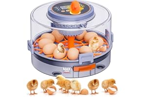 2025 Upgrade Brutautomat Vollautomatisch, MASTERFUN Brutmaschine Vollautomatisch für 12 Eier mit Automatischem Wenden der Eier und Feuchtigkeits und Temperaturkontrolle, Schierlampe für Hühnereier