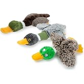 Best Pet Supplies İnteraktif Yeşilbaş Eşleri K&ouml;pek Oyuncağı, Kırışık ve Gıcırtılı Zenginleştirici K&uuml;&ccedil;&uuml;k ve Orta Cinsler i&ccedil;in,