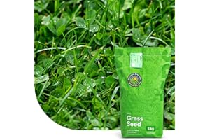 MRS SEEDS & MIXTURES Clover Lawn : Semences de gazon avec micro-trèfle - 2 kg pour 100 m² - Pelouse luxuriante et durable - Résistante à la sécheresse - Peu d’entretien - Idéale pour les zones ombragées