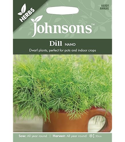 Semi Di Aneto Batlle - Erba Aromatica Per Cucina 20cm - Foto 12