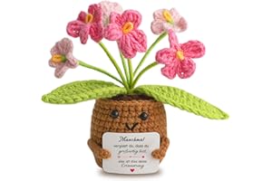 Aruigu Geschenke für Frauen Freundin,Geschenke für Mama,Für Schwestern,Positive Kartoffel Deutsch Ersatz Serien Gehäkelte Geschenke,Inspirierende Geschenke für Kollegin Ehefrau