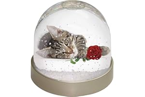 Tabby Kitten Cat with Red Rose Photo Snow Globe Waterball - Advanta Group®