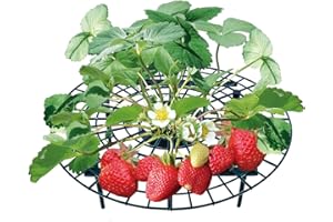 UPP Support à fruits et légumes I Répulsif Anti Limaces et Escargots I Grilles de protection contre nuisibles et moisissure I Lot de 5 supports I Diamètre ajustable 30 à 40 cm I Plastique I Vert