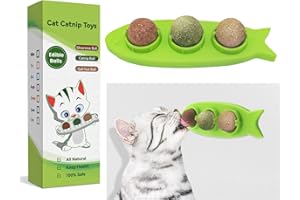 Aucenix Katzenminze Balls für Katzen, Drehbares Leckerli Spielzeug für Katzen, Natürliches Matatabi Zahnreinigung Dental Kätzchen Kauspielzeug, Katzenminze Wandspielzeug für Katzenkätzchen (Grün)