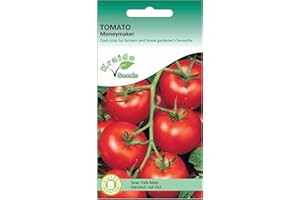 KRAIDO SEEDS Red Tomato Seeds Moneymaker Solanum Lycopersicum 150 Seeds Grow Your Own Vegetables Ideal for Greenhouse or Garden Growing in Raised Beds Polytunnel Growbags or in Large Pots and Containers