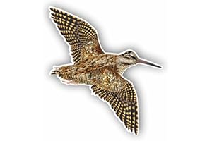 AMA SHOP Adhesivo contorneado con diseño de becada en vuelo Mod.2 | Apto para casco de coche moto | Calcomanía | Pasión Caza