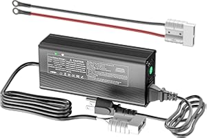 INEXACCESSORIES 14,6 V 20 A Lithium-Batterieladegerät, LiFePO4-Ladegerät unterstützt Batterieregeneration AC-DC-Smart-Ladegerät speziell für 12 V/12,8 V Deep-Cycle-Akkus von PKWs, LKWs, Booten und Wohnmobilen