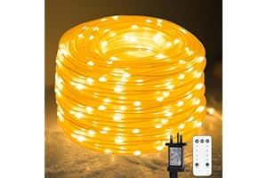 LiyuanQ Fairy Lights Plug in, 20M/66FT 200 LED Rope Lights Outdoor, 8 Modes Tube String Lights Remote Christmas Lights Decoration for Indoor Outdoor Lights Bedroom Party Garden Tree Decoration Warm