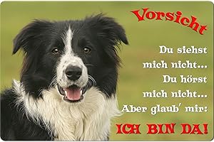 NANYUK +++ BORDER COLLIE - Metall WARNSCHILD Schild Hundeschild Sign - BOC 16 T2