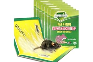 WHEELIO Mouse Sticky Pads - 6 Pack Sticky Mouse Traps Boards for Indoor, Outdoor, Kitchen and Garden