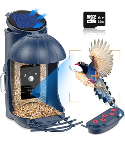 Test : Mangeoire à Oiseaux Avec Caméra Solaire Ai Smart Capture