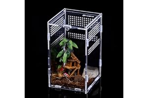 STRIXORN Transparent Reptile Feeding Box, Portable Acrylic Insect Feeding Box with Vents Anti-Escape Design, Insect Habitat Terrarium Case for Spide, Lizard, Scorpion, Centipede, Horned Frog, Beetle(L)