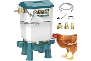 CHAMUTY Abreuvoir Poules Automatique 7 Litres avec Pieds, 4 Bols, Flotteur Filtré Contrôlé, Tuyau en Acier Inoxydable de 1,5 m, Distributeur Eau Poule Automatique Pour Canards, Oies, Dindes et Pigeons