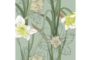 Daisy 3-Ply Spring Flowers Tissue Paper Napkins Serviettes for Decoupage Lunch 33cm x 33cm - Pack of 20 (Narcissus on Sage Background)
