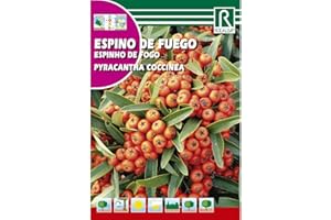ROCALBA Semillas de Espino de fuego Pyracantha coccinea