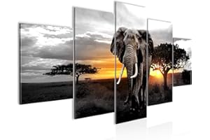 Runa Art - Cuadros Decorativos África Elefante 200 x 100 cm 5 Piezas XXL Decoracion de Pared Diseño Gris Naranja 001251c