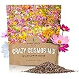 SWEET YARDS Cosmos Seeds Wildflower Mixture - Bulk 1 Ounce Packet - Over 5,000 Seeds - Pink, Yellow, Orange, Red, Purple and White Mixed Species!