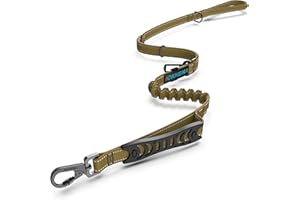 Iokheira Bungee Cane Conduce forte guinzaglio cane assorbire gli urti con 2 comode maniglie imbottite auto cintura di sicurezza fibbia, regolabile corda guinzaglio cane per piccoli cani medi grandi