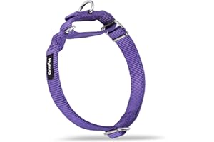 Hyhug Heavy Duty Nylon Anti - Escape Martingale Dog Collar for Large Medium Small Boy and Girl Dogs - Walking Training Daily Use. (Small, Ultra Violet)