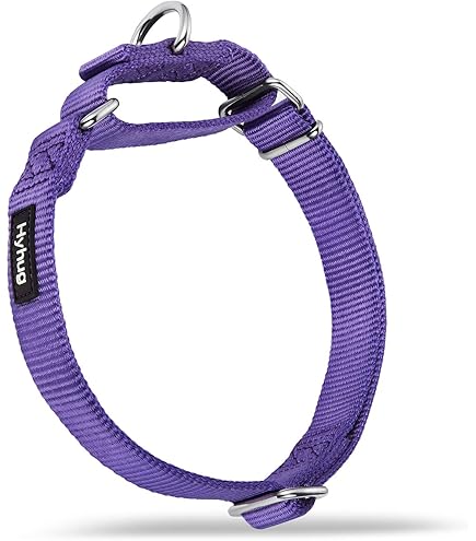 Mikivery Martingale Hundehalsband – Nylon, Verstellbar, Für Training, Größe M (35,5-53 Cm) Oder L (43-63 Cm)