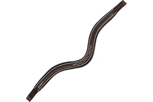 ExionPro Frontal incurvé en cuir matelassé carré surélevé et incurvé | Frontal pour chevaux | Frontal équestre | Taille – complet, cob, surélevé, poney | Couleur : marron, noir