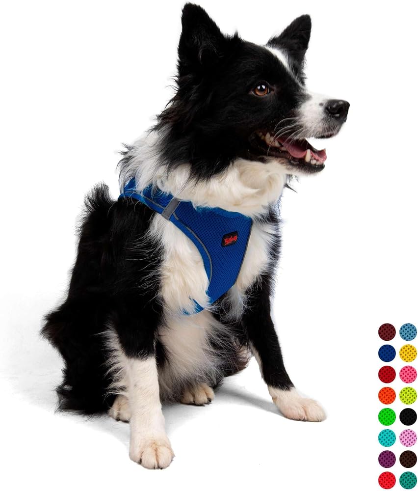 Tailpetz Air-Mesh Köpek Göğüs Tasması (Saks, XLarge)