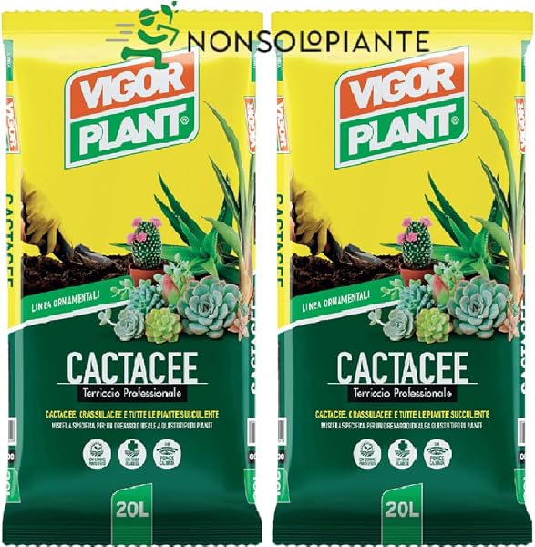 2 x Vigorplant Soil for Succulent Plants and Cactaceae, 20 Litres - 1