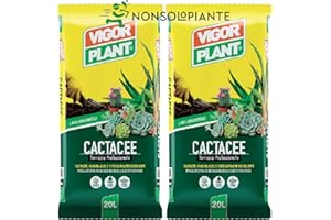 GENERIC 2 confezioni vigorplant Terriccio per piante grasse succulente e Cactacee 20 lt