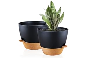 Warmplus 25cm Self-Watering Plant Pots Indoor, 2 Pack Large Plastic Plant Pots with Deep Reservior and High Drainage Holes for Indoor Outdoor Plants and Flowers, Black with Terracotta
