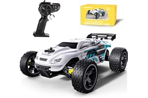 Tecnock RC Remote Control Car for Kids, 1:18 High Speed 20 KM/H 2WD RC Buggy, 2.4GHz Off Road Racing Car with Rechargeable Batteries, Gift for Boys and Girls