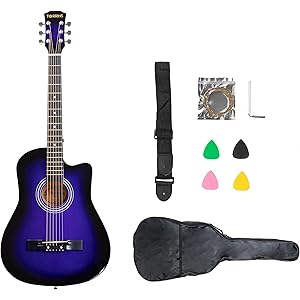T38 Acoustic Guitar for Beginners – 38 Inch (Blue) | Basswood Top, Back & Sides | ABS Fingerboard & Bridge | Guitar with 1 Guitar Bag, 1 Strap, 1 String Set, 4 Picks & 1 Allen Key