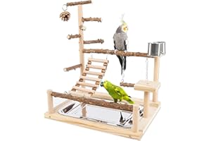 Honicemar Support de Jeu pour Perroquet - Aire de Jeux pour Oiseaux en Bois avec Échelle, Balançoire, Mangeoire, Plateau et Jouets de Gymnastique Perchoir pour Oiseaux de Petite à Moyenne Taille