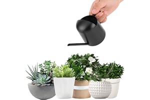 GAESHOW Arrosoir en Acier Inoxydable 300 ML, Arrosoir Plante Interieur, Petit Arrosoir avec Bec, Mini Arrosoir pour pour Plantes en Pot Orchidées Fleurs Plantes d'Intérieur Noir