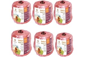 S SALTEAN 6 ×Himalayan Animal Horse Lick Natural Pink Salt | Pack of 6 | Animal Lick |Pink Rock Salt |
