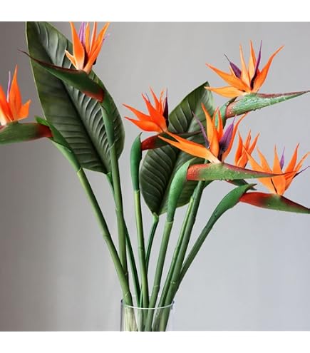 Amazon.de: vidaXL Strelitzia Reginae Paradiesvogelblume Kunstpflanze 66cm  Deko Kunstbaum