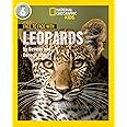 Face to Face with Leopards: Level 6 (National Geographic Readers)