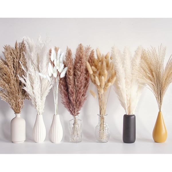1246419_6