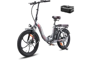 ‎FAFREES Fafrees F20-Pro E Bike Klapprad 20 Zoll, Elektrofahrräder 36V 18Ah Akku, 250W Motor Fatbike Damen, Mountain Ebike Herren, 25km/h City Ebike für Erwachsene