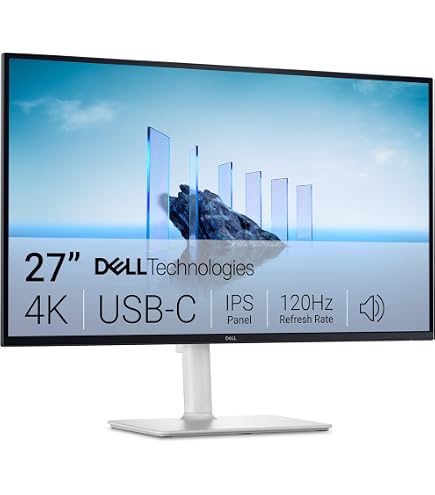 DELL Monitor 25