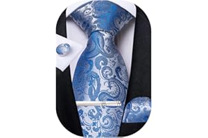 DiBanGu Men's Necktie Handkerchief Silk Paisley Floral Tie Pocket Square Cufflinks Tie Clip Set