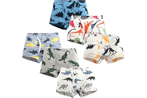 LeQeZe Boxer Intimo Mutande Cotone Dinosauro Bambino da 6 Bambini Slip Ragazzo 2-9 Anni
