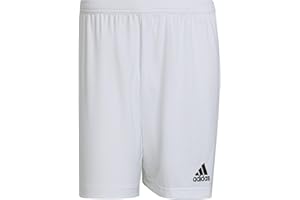 adidas Homme Entrada 22 Shorts