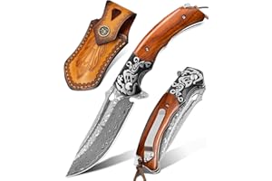 LOTHAR RHAEGAL Couteau de Poche Damas, Couteau Pliant Damas en Acier Damas 67 Couches VG10, Couteau Damas à une Main Avec Manche en Bois, Pour Collection ou Cadeau (Bois de Rose)