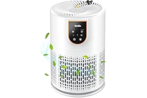 Aircillin Purificador de Aire con Filtro HEPA H13 de 5 etapas, Elimina el 99,97% del Polen, Polvo, Olores de Mascotas, Air Purifier Silencioso 25dB, Temporizador