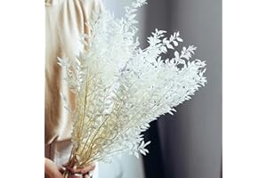 ‎ONING Getrockneter Eukalyptus 5 Stiele weißer Eukalyptuszweig Italienischer Ruscus, 40 cm Natürliche konservierte Blumen für Boho Hochzeit & Heimdekoration.