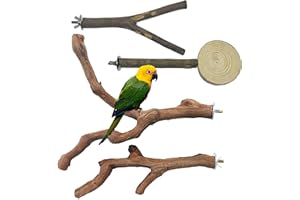 Allazone 4 Stück Sitzstangen Vögel, Naturholz Sitzstangen Natürlicher Sitzstangen für Vögel Holz, Vögel Spielzeug Vogel Papagei Schaukel Spielzeug