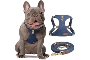 Puppytie Pettorina per Cani di Piccola Taglia - Guinzaglio per Cani Multifunzione, Leggera, Morbida, Regolabile, Senza Soffocamento, a Prova di Fuga per Animali Domestici - Blu Denim, S, 4-8 kg