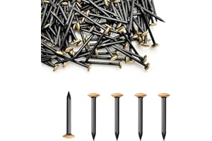 GoldOars 200 Stück Stahlnägel 20mm Bilder Nägel Beton mit Box Nägels für Betonwände Ziegelstein Putz & Holz Rostfreie Stahlnägel Ohne Bohren