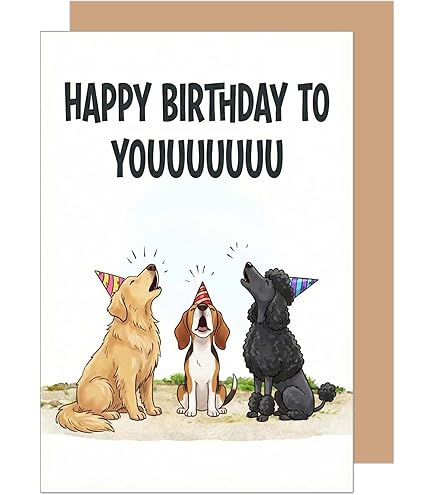 Edition Seidel Biglietto Di Auguri Di Compleanno Con Busta | Scritta Divertente Per Uomo, Donna, Bambino, Cane | Formato 11,5x17 Cm (G3636 SW024)